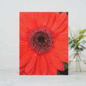 Red Gerbera (Standing Front)