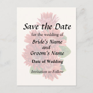 Red Gerbera Daisies Announcement Postcard