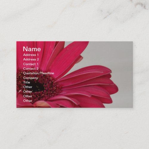 Red Gerbera Daisy Business Card