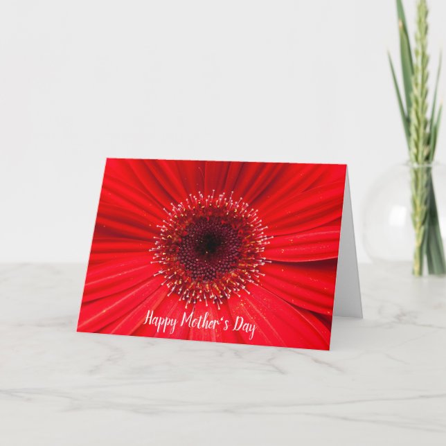 Red Gerbera Daisy for Mom Card (Front)