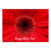 Red Gerbera Daisy for Name Day (Front Horizontal)