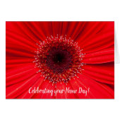 Red Gerbera Daisy for Name Day (Front Horizontal)