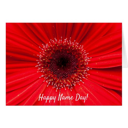 Red Gerbera Daisy for Name Day Cards (Front Horizontal)