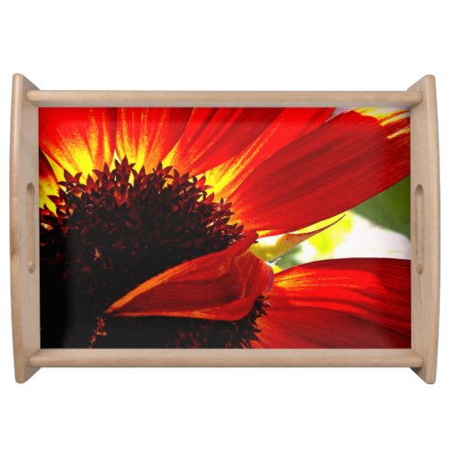 Red gerbera daisy photo bold modern simple serving tray