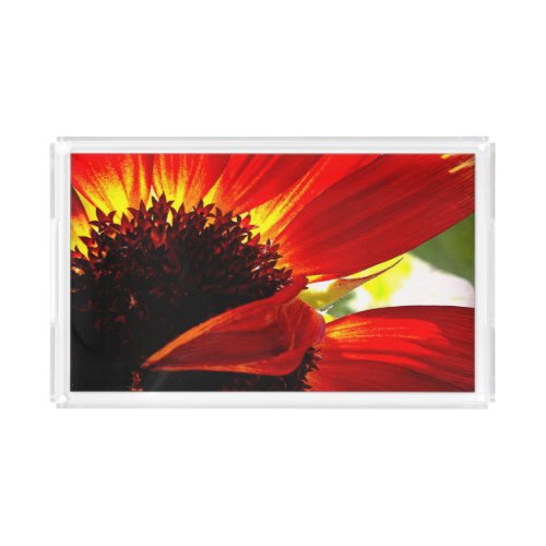 Red gerbera daisy photo bold simple modern acrylic tray