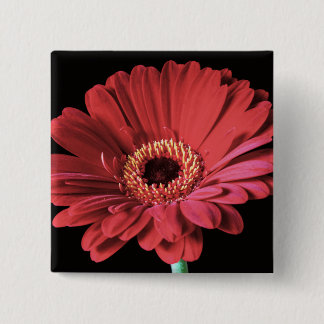 Red Gerbera square button
