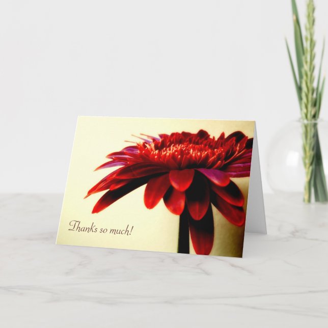 Red Gerbera Thank You Card (Front)
