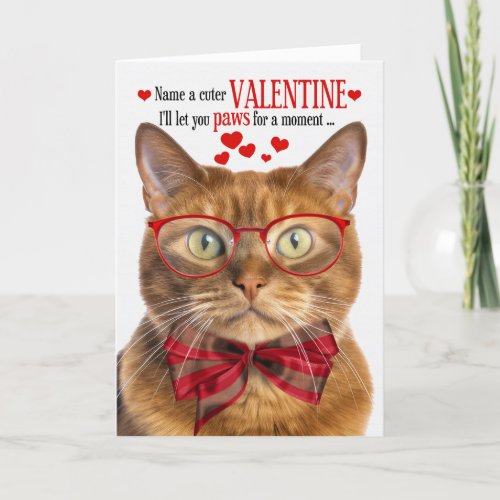 Red Ginger Cat Valentine with Feline Humor Holiday Card