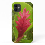 Red Ginger Flower (Alpinia) iPhone 11 Case