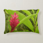 Red Ginger Flower (Alpinia) Decorative Pillow