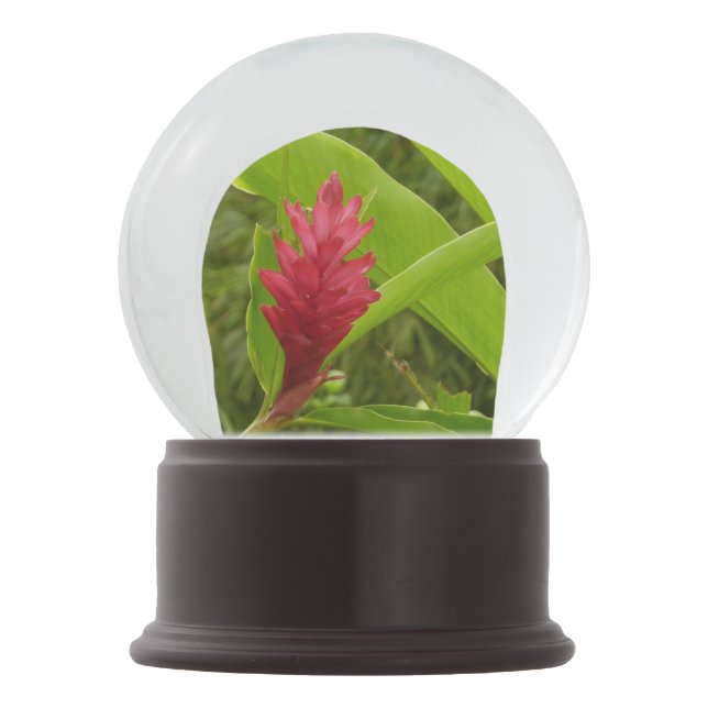 Red Ginger Flower (Alpinia) Snow Globe (Back)