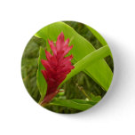 Red Ginger Flower (Alpinia) Tropical Button