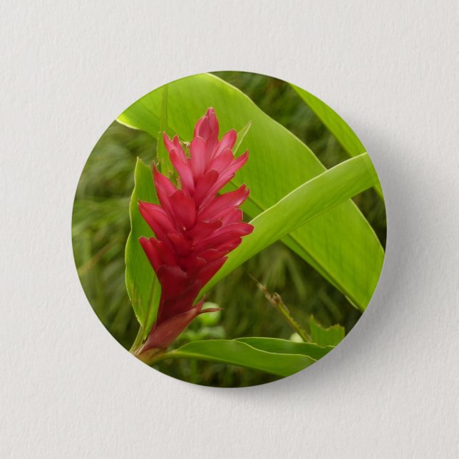 Red Ginger Flower (Alpinia) Tropical Button (Front)
