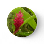 Red Ginger Flower (Alpinia) Tropical Button