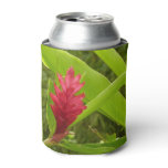 Red Ginger Flower (Alpinia) Tropical Can Cooler