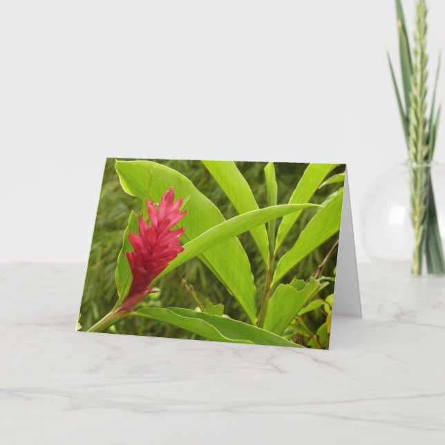 Red Ginger Flower (Alpinia) Tropical Card (Front)