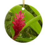 Red Ginger Flower (Alpinia) Tropical Ceramic Ornament