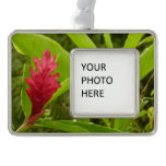 Red Ginger Flower (Alpinia) Tropical Christmas Ornament