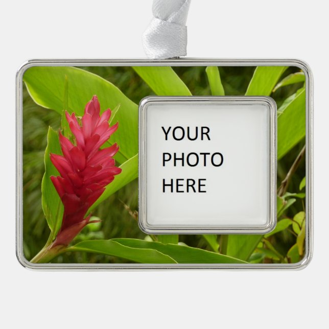 Red Ginger Flower (Alpinia) Tropical Christmas Ornament (Front)