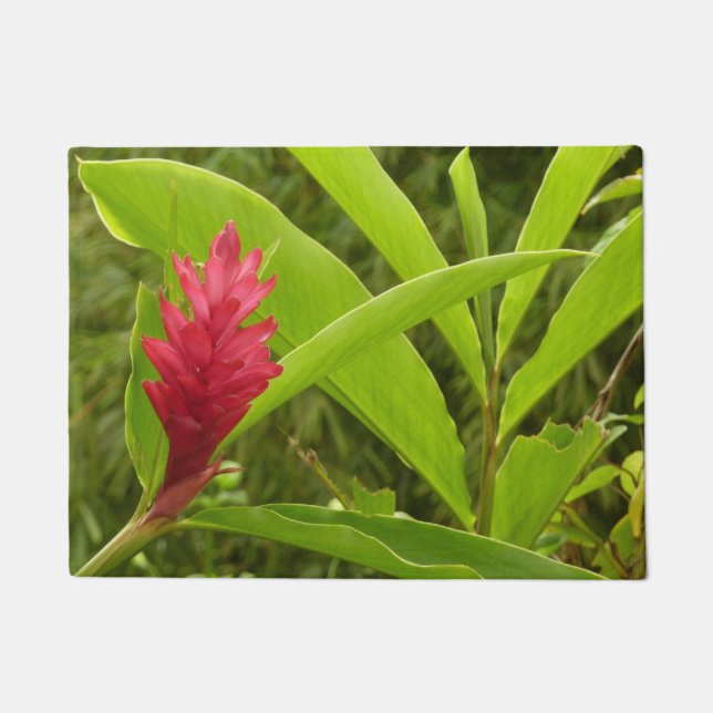 Red Ginger Flower (Alpinia) Tropical Doormat (Front)