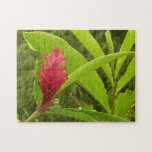 Red Ginger Flower (Alpinia) Tropical Jigsaw Puzzle