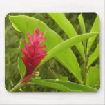 Red Ginger Flower (Alpinia) Tropical Mouse Pad
