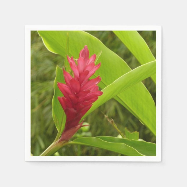 Red Ginger Flower (Alpinia) Tropical Napkins (Front)