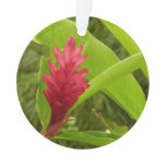 Red Ginger Flower (Alpinia) Tropical Ornament