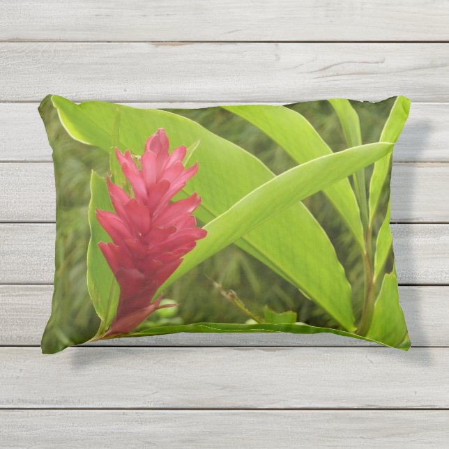 Red Ginger Flower (Alpinia) Tropical Outdoor Pillow (Front)