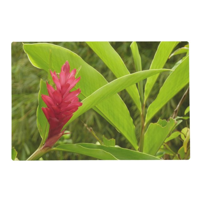 Red Ginger Flower (Alpinia) Tropical Placemat (Front)