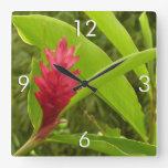 Red Ginger Flower (Alpinia) Tropical Square Wall Clock