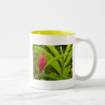 Red Ginger Flower (Alpinia) Tropical Two-Tone Coffee Mug