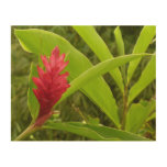 Red Ginger Flower (Alpinia) Tropical Wood Wall Decor