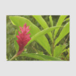 Red Ginger Flower Tissue Paper