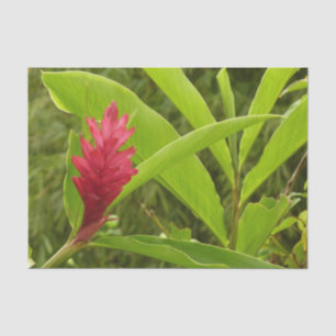 Red Ginger Flower Tissue Paper