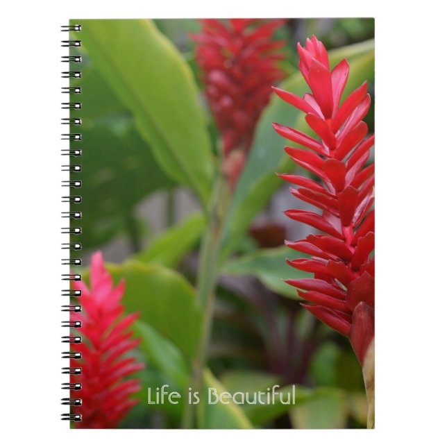 Red Ginger Flowers Kauai (my photography) Notebook (Front)