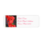 Red Gladiola Flowers Label