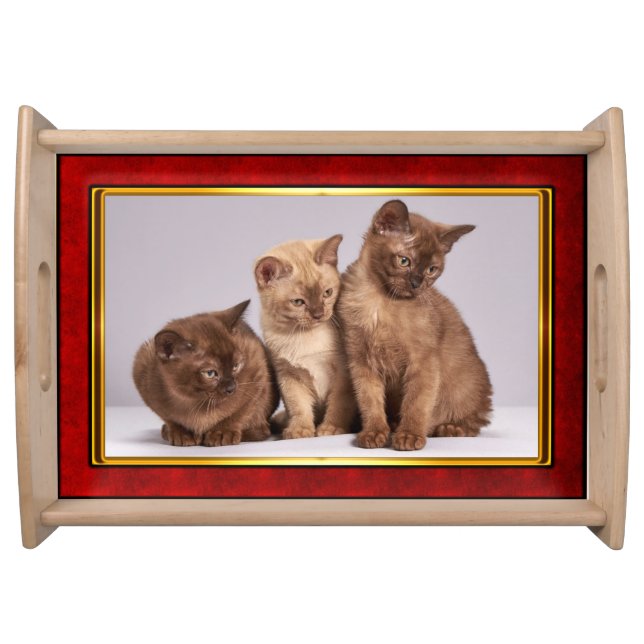 Red & Gold Framed Cute Kitten Serving Tray (Front)