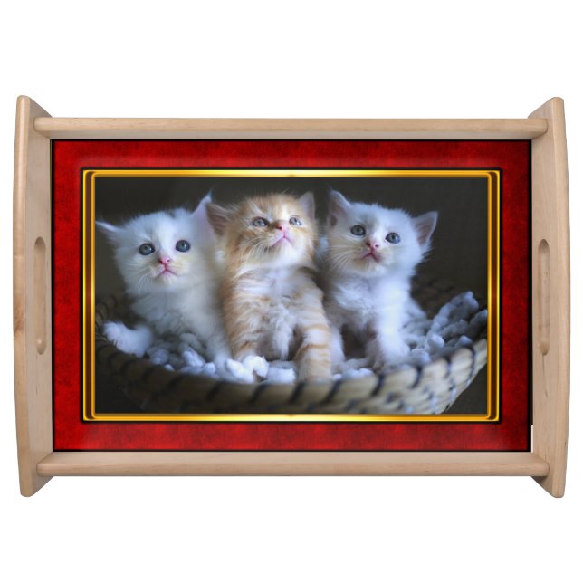 Red & Gold Framed Cute Kitten Serving Tray (Front)