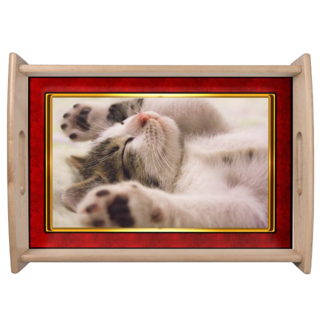 Red & Gold Framed Cute Kitten Serving Tray (Front)