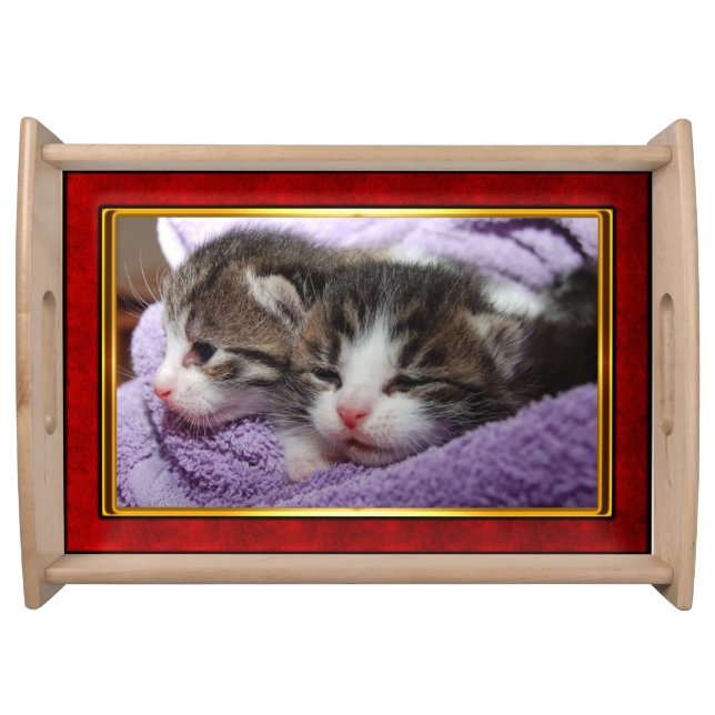 Red & Gold Framed Cute Kitten Serving Tray (Front)