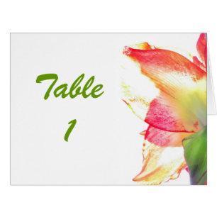 Red Gold Green Amaryllis Abstract Table Number