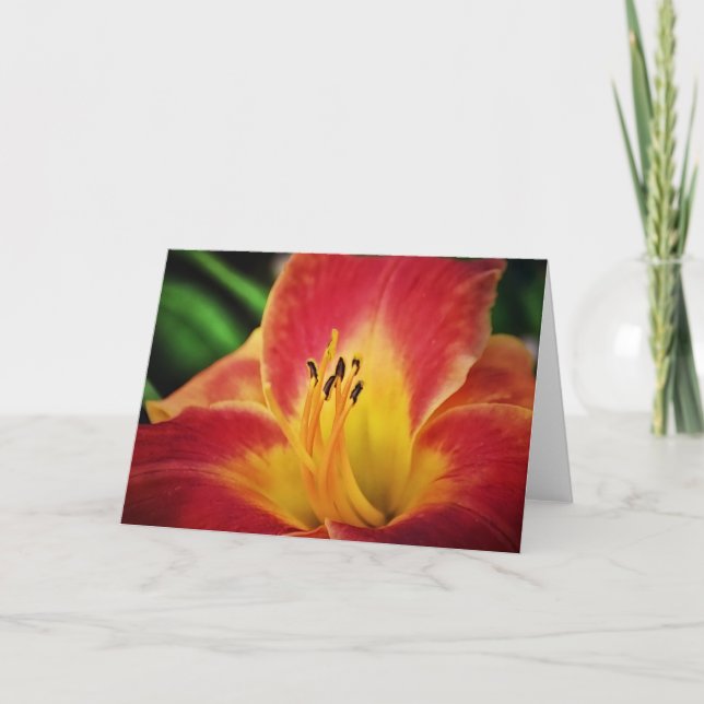 Red Gold Lily Flower Note Card (Front)