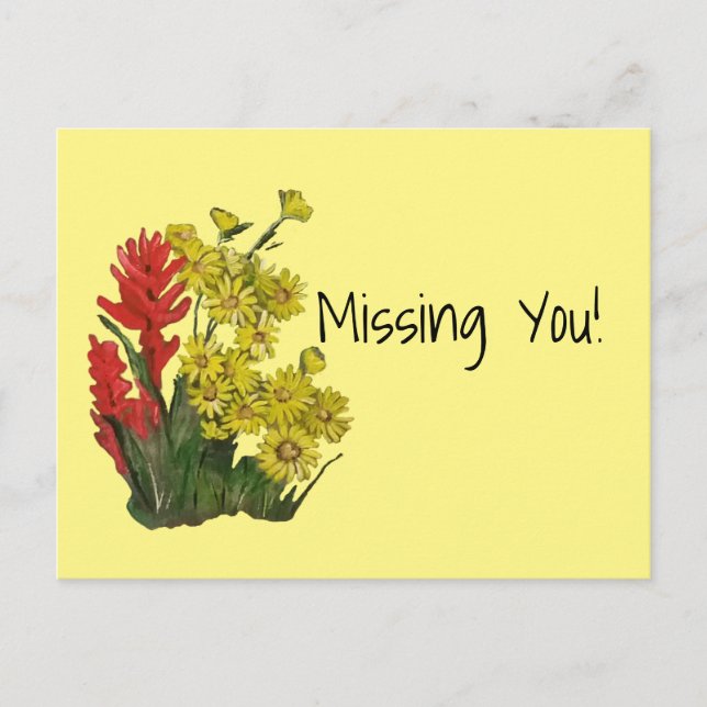 Red Gold Rosy Fireweed Aster  Postcard (Front)