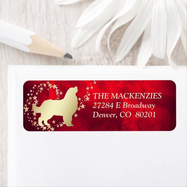 Red Gold Star Swirl Bernese Mountain Dog Label (Insitu)