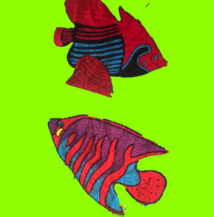 aquarium pet id tags
