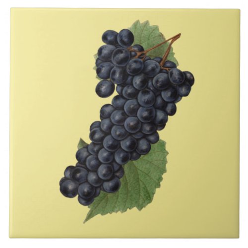 Red Grapes Botanical KitchenAny Color Background Ceramic Tile