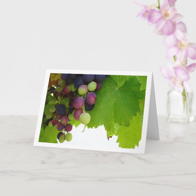 Red Grapes Green Leaves Card (Orchid)