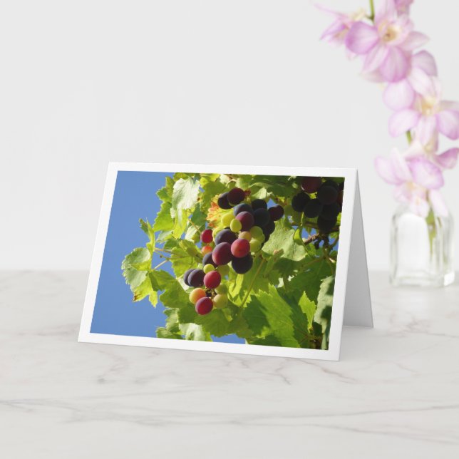 Red Grapes Green Leaves Card (Orchid)