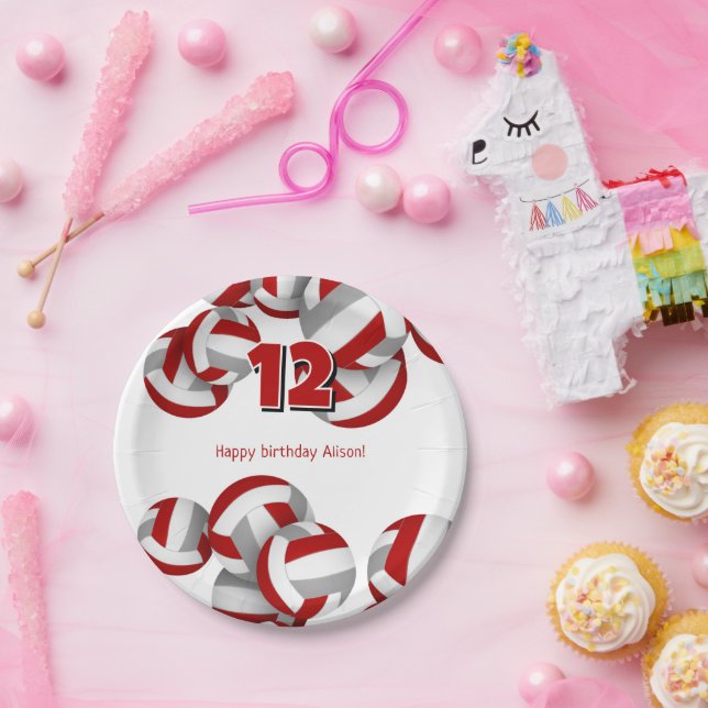 red gray volleyballs girls boys birthday party paper plates (Party)